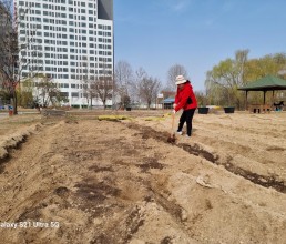 부천 상동문화동산 텃밭체험장 현장